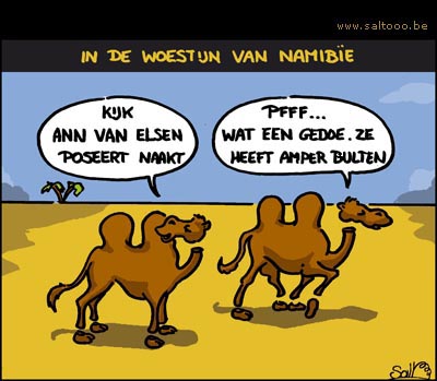 Ann Van Elsen naakt in playboy