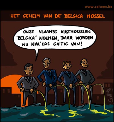 Het geheim van de Belgica mossel