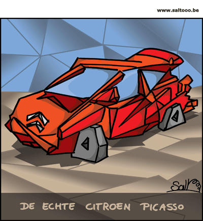 De echte citroen Picasso