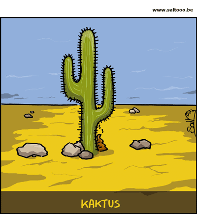 Een kaktus heeft het niet altijd makkelijk