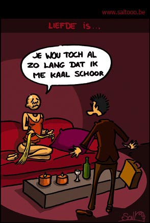 Liefde is liefde is cartoons. Liefde is