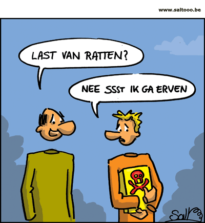 Last van ratten?