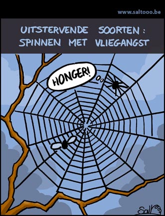 Uitstervende spinnen