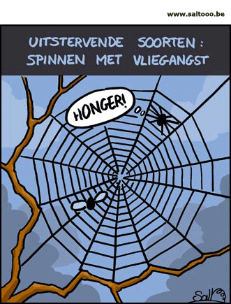 Uitstervende spinnen