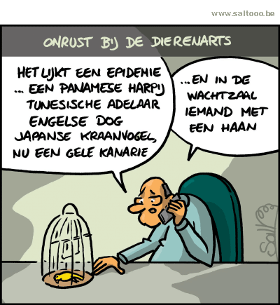 Thema van de cartoon op deze pagina: De dierenarts vraagt zich af of er een virus of epedimie de ronde doet, klik op de cartoon om naar de volgende te gaan