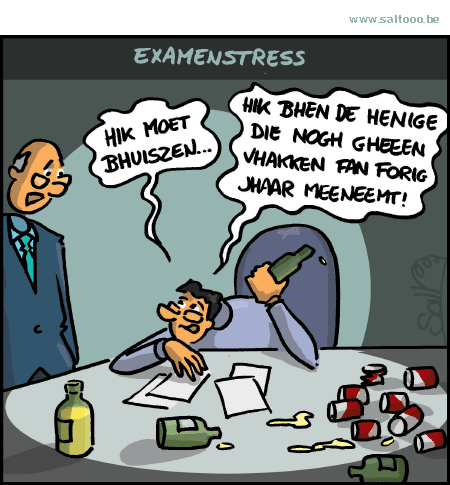 Thema van de cartoon op deze pagina: Steeds flexibeler studeren geeft toch nog examenstress, klik op de cartoon om naar de volgende te gaan