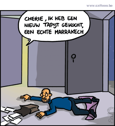 Thema van de cartoon op deze pagina: Michel heeft zijn handen vol met het migratiepact van Marrakech, klik op de cartoon om naar de volgende te gaan