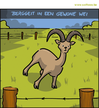 Thema van de cartoon op deze pagina: Een berggeit voelt zich niet echt thuis op een wei, klik op de cartoon om naar de volgende te gaan