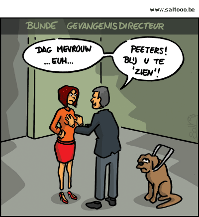 Thema van de cartoon op deze pagina: Heeft de blinde gevangenisdirecteur uit Wortel zijn positie misbruikt, klik op de cartoon om naar de volgende te gaan