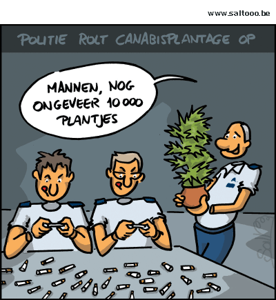 Thema van de cartoon op deze pagina: De politie rolt een cannabisplantage op, klik op de cartoon om naar de volgende te gaan