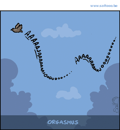 Thema van de cartoon op deze pagina: Er is een nieuwe vogelsoort ontdekt: de orgasmus, klik op de cartoon om naar de volgende te gaan