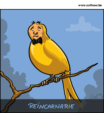 Cartoon over reincarnatie waarbij je ook al vogel kan terugkeren