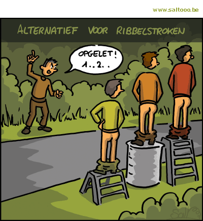 Thema van de cartoon op deze pagina: De vlaamse overheid legt ribbelstroken tegen scheldepeleton maar er is een alternatief, klik op de cartoon om naar de volgende te gaan