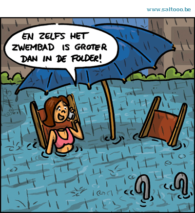 Thema van de cartoon op deze pagina: Het zwembad is niet altijd kleiner dan het in de folder lijkt, klik op de cartoon om naar de volgende te gaan