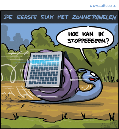 Op elk dak verschijnen er tegenwoordig zonnepanelen